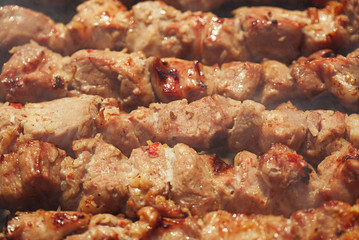 Shish kebab with  mix of spices on bbq