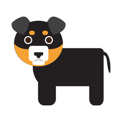 Isolated cute dog on a white background, Vector illustration