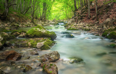 Obraz premium Mountain river in forest and mountain terrain. Crimea, the Grand Canyon. Nature composition.