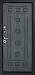 Obraz premium Entrance door (metal door)