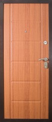 Fototapeta premium Entrance door (metal door)