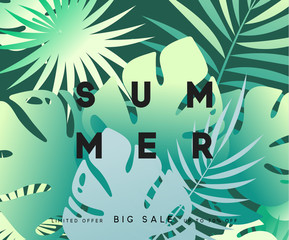 Fototapeta premium Summer banner tropical background. Summer season, design poster with leaves
