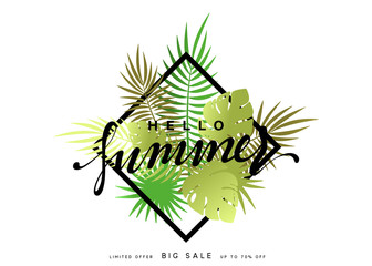 Hello Summer banner tropical background