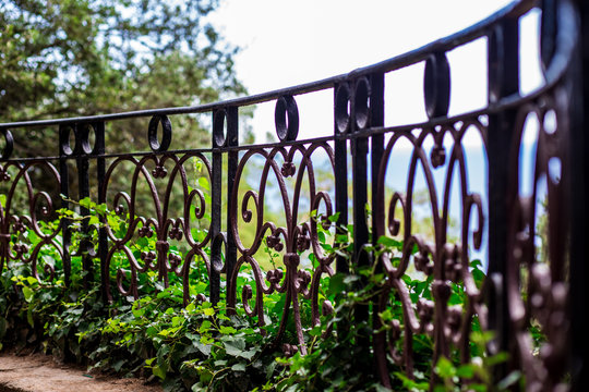Beautiful forged metal fence in a summer park