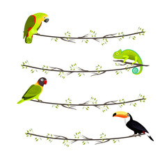 Set of garlands with tropical animals, parrot, chameleon, toucan, sitting on the branch on white background, vector illustration.