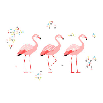 Three flamingos,boho style, isolated vector illustration.