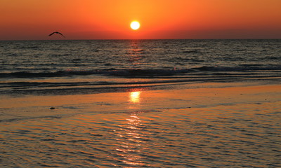Sinking sun, Siesta Key, Florida
