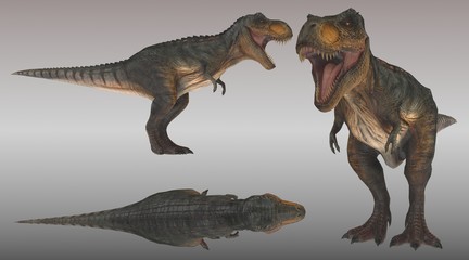 tyrannosaurus rex 3 different view 3d illustration
