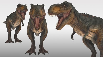 tyrannosaurus rex 3 perspective view 3d rendering