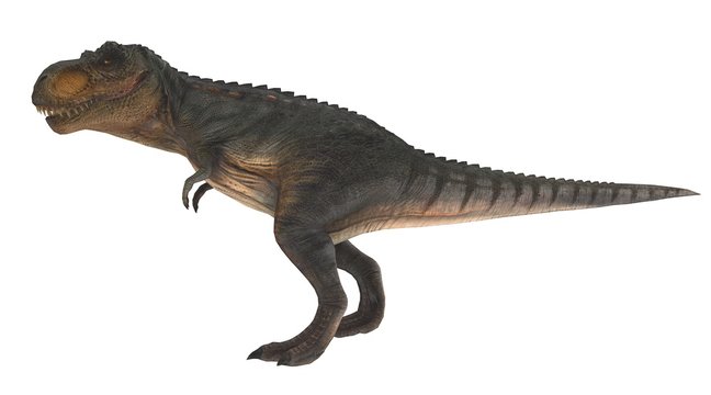 t-rex standing side view 3d illustration