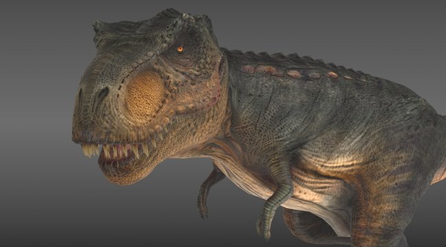 tyrannosaurus rex close up 3d rendering