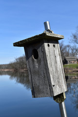Bird house by a pond