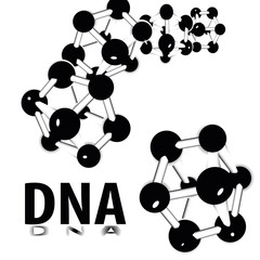 Atomic compound of DNA molecules