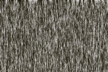 wood texture with natural pattern