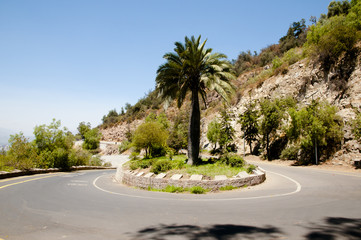 Fototapeta premium Curved Road on San Cristobal Hill - Santiago - Chile