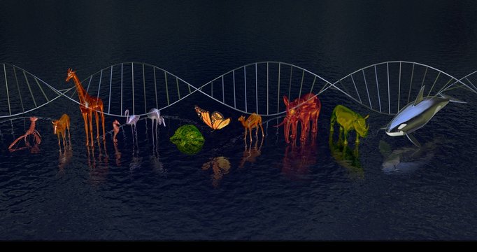 DNA molecule Biodiversity, variety of animals reflected in water.WIde view Front. DNA in background. 3d rendering