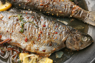Frying pan with tasty trout fish, closeup