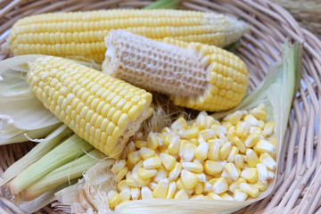 Closeup fresh sweet corn pods and corn kernels on wooden basket.
