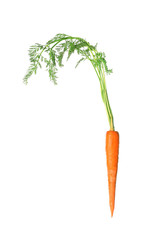 Fresh carrot with leaves isolated on white