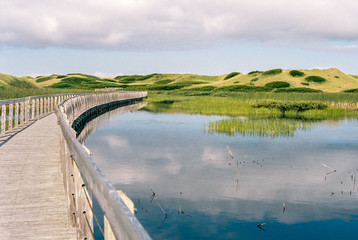 Dunes over the Boardwalk