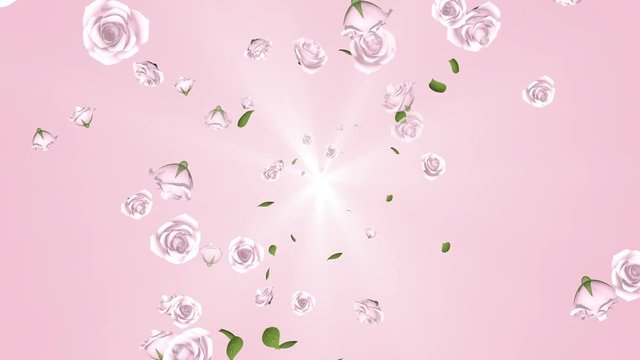 Spreading 3D pink roses and leaves animation