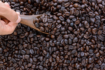 Hand with wooden spoon scooping dark roasted coffee beans