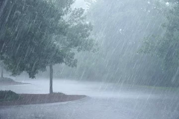 Fotobehang zware regen en boom op de parkeerplaats © nd700