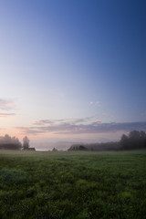 Misty meadow at dawn