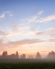 Fototapeta na wymiar Misty meadow at dawn
