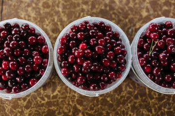 bucket of cherry when i went to cherry farm