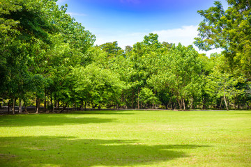 The abundance of trees, blue skies and lawn at Sri Nakhon Khuean Khan Park and Botanical Garden