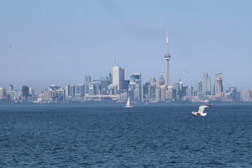 Fototapeta premium The skyline