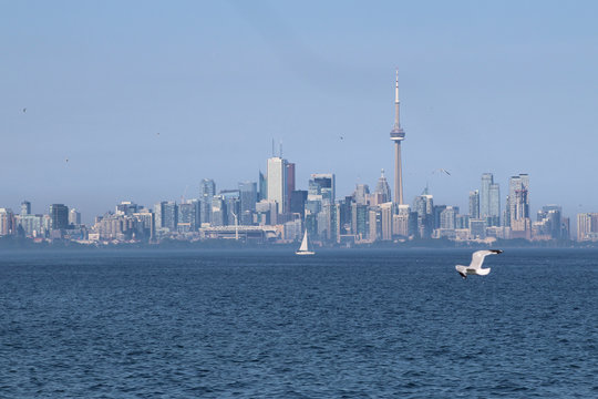The skyline