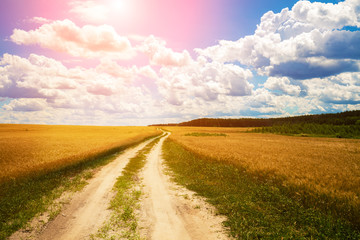 An endless dirt road in a field with a beautiful sky