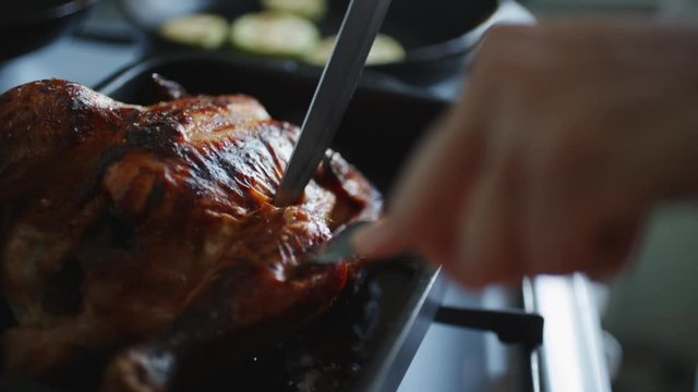 Hand trim or cut the cooked chicken in the oven. Close-up