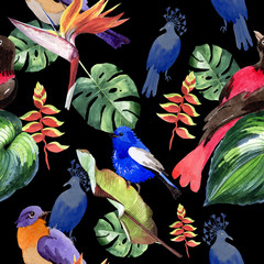 Sky birds of paradise  pattern in a wildlife by watercolor style. Wild freedom, bird with a flying wings. Aquarelle bird for background, texture, pattern, frame, border or tattoo.