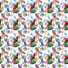 Obraz premium Sky birds of paradise pattern in a wildlife by watercolor style. Wild freedom, bird with a flying wings. Aquarelle bird for background, texture, pattern, frame, border or tattoo.
