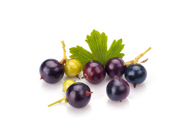 Blackcurrants