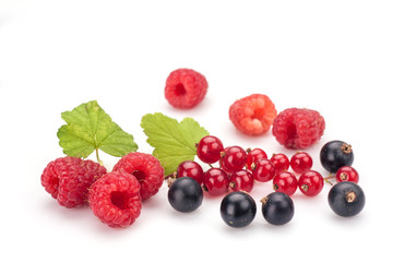 Blackcurrants with raspberries