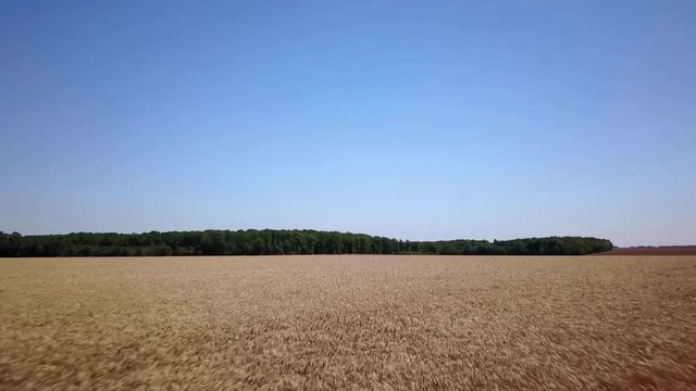 Champs de blé et foret. Survol. Eure-et-Loire