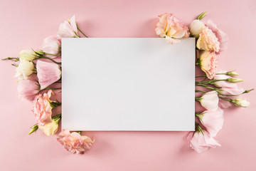 Top view of beautiful blooming flowers and blank card isolated on pink