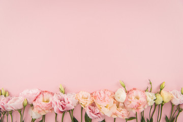 Top view of beautiful tender blooming eustoma flowers isolated on pink background
