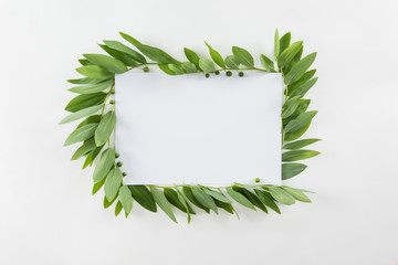 Top view of blank card with fresh green leaves isolated on white