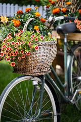 Fahrrad mit Blumen geschmückt, Dekoration - obrazy, fototapety, plakaty