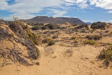 Foto op Canvas Picturesque desert landscape of Graciosa volcanic island with sparse vegetation on sandy dunes,  Lanzarote, Canary Islands, Spain © Arkadii Shandarov
