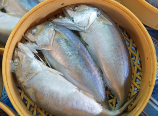 Mackerel fish in a basket is being sale in a market.