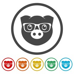 Vector pig icons set - Illustration 