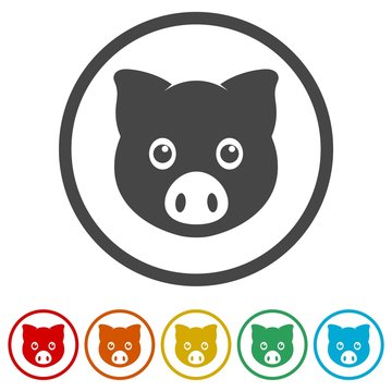 Vector pig icons set - Illustration 
