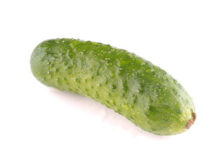 Cucumber on white background