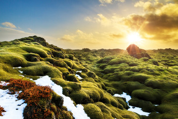 Beautiful panorama of the amazing volcanic mossy landscape of Eldhraun at sunrise in Iceland